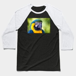 Macaw Parrot Baseball T-Shirt